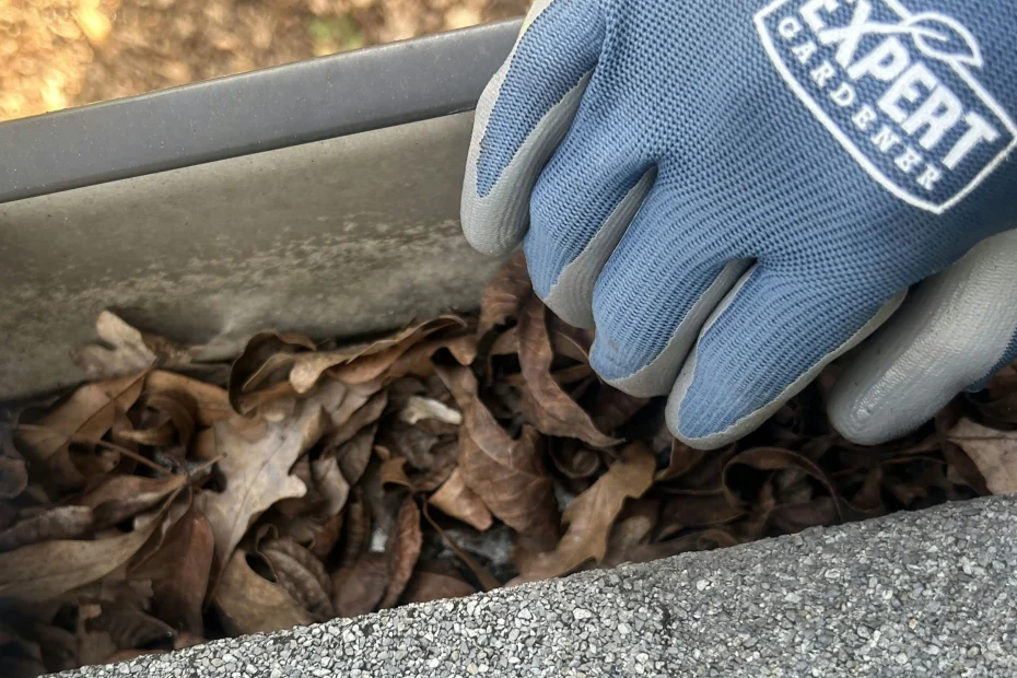 Gutter Cleaning Mulberry FL