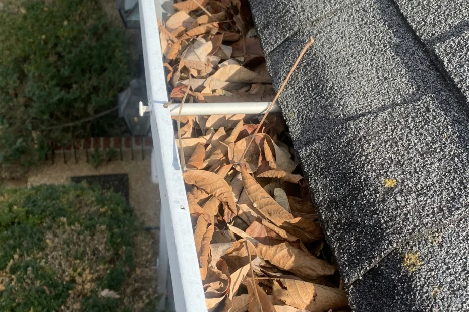 Gutter Cleaning Mulberry FL