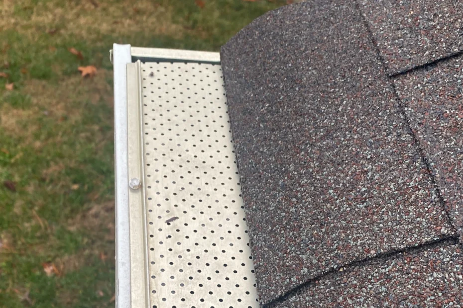 Gutter Cleaning Mulberry FL