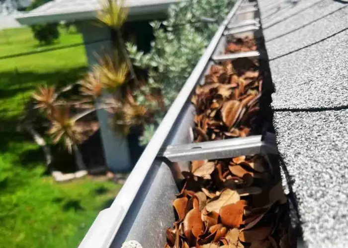 Gutter Cleaning Mulberry FL home page